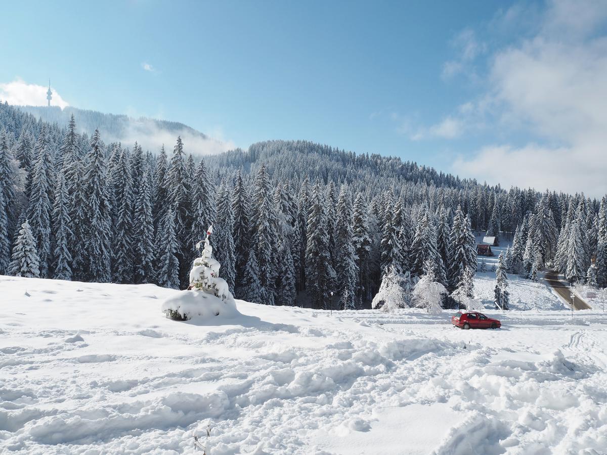 High Five Villas Pamporovo Bagian luar foto